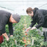 KAWAKATSUFARM