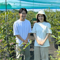 Blueberry Gaoka