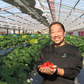 TNfarm