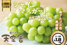 【９月に収穫・残暑見舞い】１箱２～4房山梨県南アルプス産シャインマスカット約1.8kg