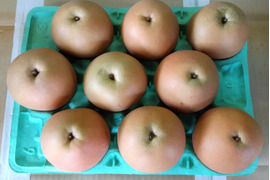 にっこり  3kg　3Lサイズ(9玉入り)