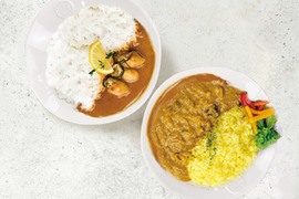 かきカレー食べ比べ6食セット　生食用かきを贅沢に使用！　レトルトカレー　かきの旨みがたっぷり♪　かきーマカレー×3　かなわのかきカレー×3