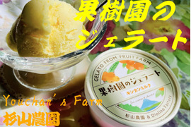 新発売　果樹園のジェラート『杉山農園おすすめセット』１２個入り