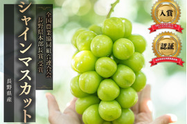 予約販売【国内大手百貨店取扱農園】☆シャインマスカット2kg以上☆