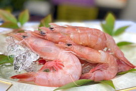 【大容量】ジャイアントロえび！食べた瞬間、至福のひと時を感じる特大トロえび1kg（2P/500g）