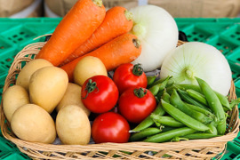 採りたて野菜！お試し5品セット！（本州の方限定）