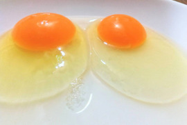 出荷日当日の朝採り新鮮お届け致します☆　平飼い濃厚卵　　純国産赤鶏あずさ３０個＋岡崎おうはん３０個計６０個、割れ保証付き