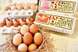 純国産鶏種「もみじ」18個、「さくら」18個（各10個入れ2パック、各2個割れ保障）