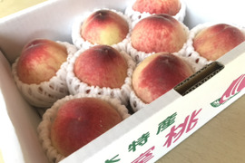 【家庭用】温室桃はなよめ計900g(5〜8個入り)
