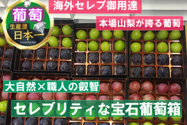 🍇セレブ御用達の宝石箱が日本初上陸🍇『2025年先行予約』幻の天空ブランドジュエリーボックス食べ比べセット🍇約900g【天空ブランド上位人気ランカー葡萄詰め合わせ】【朝どれ】