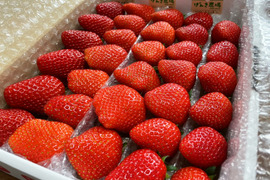 【2箱セット】《完熟!いちご狩り気分セット》お家で食べ比べ♪ 埼玉県羽生市産【いちご食べ比べ】