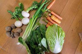 朝採り❗旬の京野菜セット❗【80サイズ】【6～7品目】
