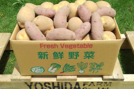 ＜うんまい！＞じゃがいも【８ｋｇ】