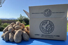 R6年産 北海道十勝【メークイン🥔】10kg❗️5kg×2箱セット送料節約！