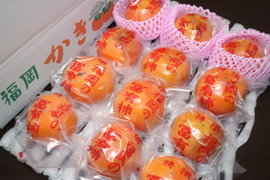 【ご家庭用（『小玉！』・少々キズあり）】冷蔵柿（富有柿）12個前後入り×２箱　福岡県久留米市田主丸町産