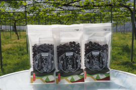 ドライフルーツデラウェアレーズン50g3袋セット常温乾燥だから乾燥しているけど成分は生!