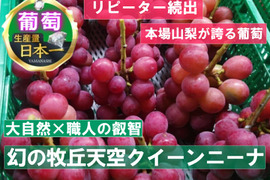 🍇日テレ出演で人気急上昇🍇幻の牧丘天空クイーンニーナ超希少品種でリピーター量産中🍇『2025年11月上旬発送』約2kg4～8房【朝どれ】
