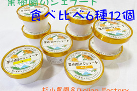 新発売　旬の美味しさを閉じ込めた　果樹園のジェラート『柑橘食べ比べセット』6種類12個入り　配達日時指定便 杉山農園