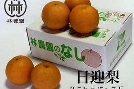 冬の梨・日迎梨（林農園オリジナル品種）　約2.5kg(5～7玉)【熨斗対応】【冬ギフト】