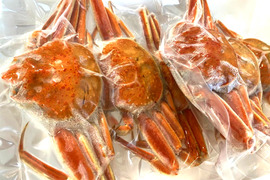 茹でセコガニ 冷凍 内子と外子と蟹味噌の旬の3段ミルフィーユが魅力約1キロ（5～9尾入）熨斗対応可【冬ギフト】
