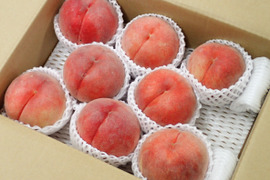 運命の出会い⁉️【67品種の桃を栽培】品種は何が届くかお楽しみ3㎏（5－10玉）8月発送