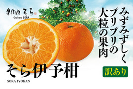 そら伊予柑【癒される香り】愛媛産 伊予柑 訳あり 4kg