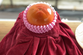 【冬ギフト】定番を極めた最高級の富有柿（5kg）熨斗対応可