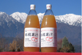 【ギフト】完熟のサンふじのみを搾った林檎果汁（１リットルビン×１２本入り）無添加（長野県産りんごジュース）