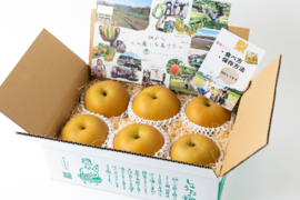 「豊水梨」６～７玉【口の中に果汁がジュワ～♪】　ご家族も笑顔がいっぱい♪　8月中旬頃～発送開始。