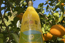 【2025年収穫】まるで“飲む果実！尾鷲の自然がぎゅっと詰まった尾鷲甘夏ジュース720ml×6本