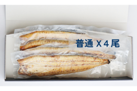 【父の日ギフト】2024年度新仔！丸和うなぎ白焼き(普通サイズ) X 4尾　※1尾 130g (感謝の気持ちを込めた贈答対応可)