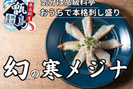 【父の日ギフト】高級料亭の味をご自宅で幻のメジナ業界初パウダースノー冷凍で最高鮮度の本格刺し盛りがご自宅で心行くまでご堪能🐟20代女性漁師が手掛ける甑島ブランド【2025年6月中旬発送】