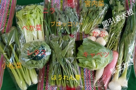 お楽しみ★農園自慢の情熱野菜セット　7袋　発送タイミングおまかせ　フードロス対策　パチャママ農園　訳あり　規格外