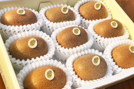 【春ギフト】掛川産おすすめギフト♪グリーンキウイ詰め合わせセット【熨斗対応可】9個前後入り：MG