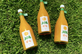 【夏ギフト】暁みかん100%ストレートジュース　720ml（4本入り）