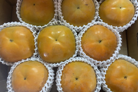 サクサク食感！人気急上昇中の太秋柿3キロ