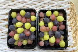 まるせい果樹園のぶどう3色MIX　パック詰め　　380ｇ×2ｐ　自家用　家庭用　ぶどうの実のみ ob5