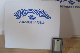 南信州産 『ブルーベリー生果実500ｇ』ギフト用大粒選果品 収穫日発送♪