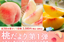 【売り切れ】【限定200セット】3種の桃だより第1弾（食べチョク公式）