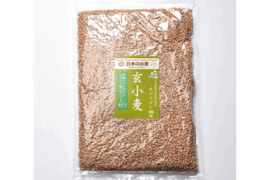 【栽培期間中農薬不散布】ネバ玄粒 玄小麦 中力系 5kg 青森県産単一品「ネバリゴシ」100％使用 日本の小麦 国産小麦 国産玄粒