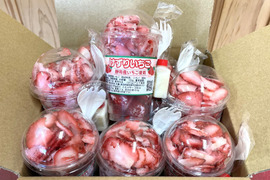 フローズン削りいちご🍓8カップセット！（本州の方限定）【お中元】