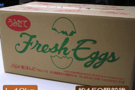 たまご 玉子 卵 10kg 白玉 1箱 Lサイズ エッグ EGG
