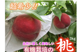 【沖縄向けクール便】【有機栽培の美味しい桃約3kg(第五期)】自然に優しく希少でジューシーな天然桃(9~11個入)!