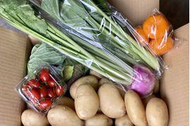 お買い得！新じゃが（2ｋｇ）と採りたて野菜（5品）セット！本州の方限定