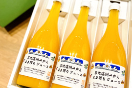 【ギフト箱】石地温州みかん まる搾りジュース（720ml×3本入り）