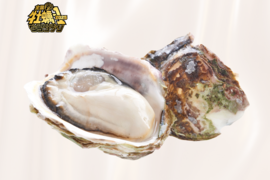 【2025牡蠣-1🏆金賞受賞】生食可！いわがき春香Lサイズ（300g〜400g）10個入【岩牡蠣】