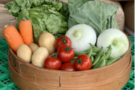 畑より採りたて発送！Ⓐ静岡厳選野菜セット（6品）（本州の方限定）