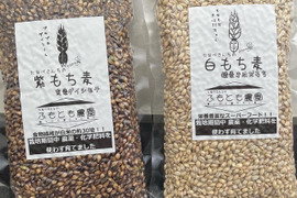 【食べ比べ】もち麦(ダイシモチ)玄麦1㎏、(きはだもち)精麦1㎏同梱セット