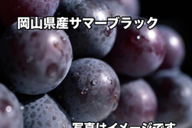 岡山県産　【訳あり✨お買得】2房入りサマーブラック🍇