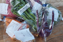 【使い切りサイズ】お野菜セットSSセット